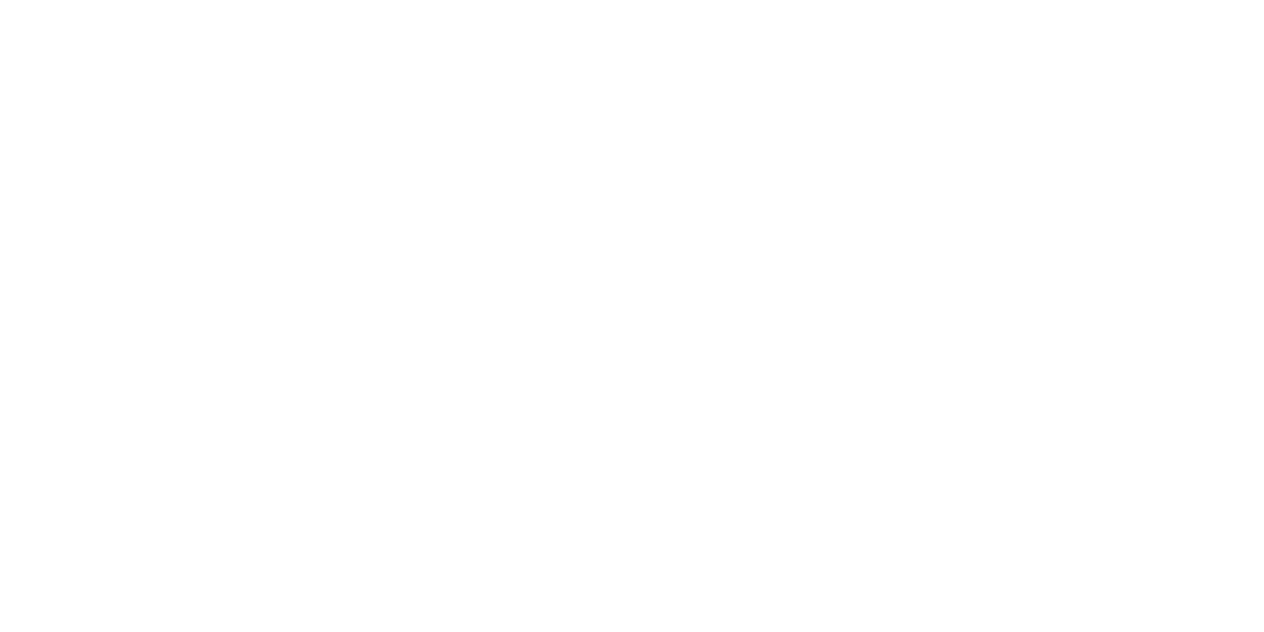 STAMEN NIKOLOV Logo Blanco